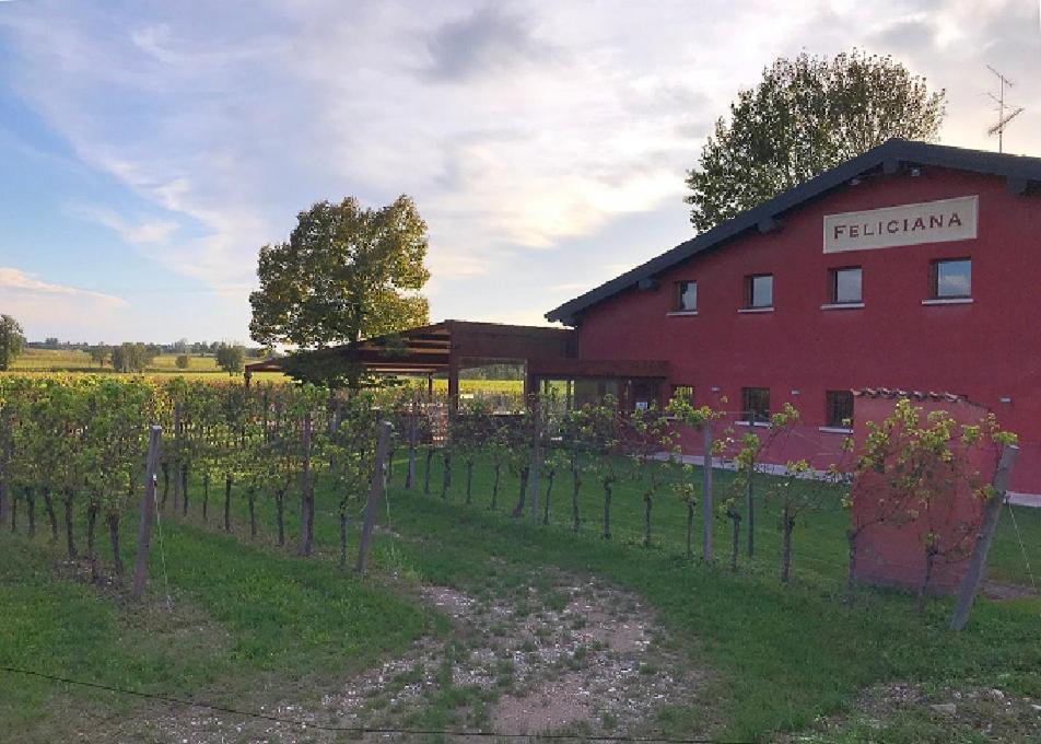 Agriturismo Feliciana Pozzolengo Exterior photo